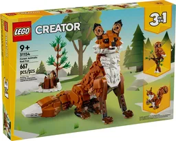Forest Animals: Red Fox