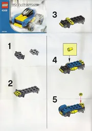 Blue Racer polybag