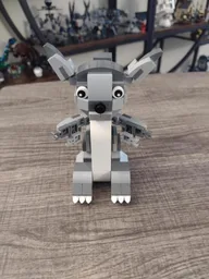 Squirrel