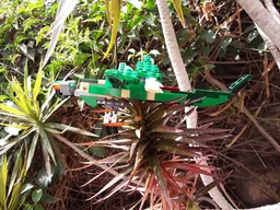 31058 - Dragonfly