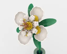 White Flower & Vase