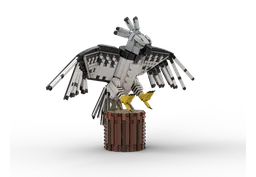 Harpy Eagle