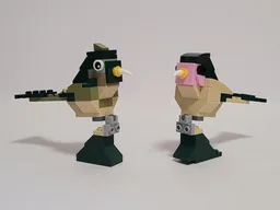 31121 Birds