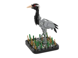 Demoiselle Crane