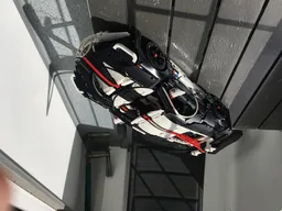 Bugatti Divo