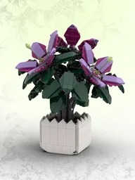 Azaleas (BT015