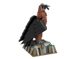 Bearded Vulture