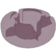 Clikits Icon, Round 2 x 2 Small with Hole [Polished] / Trans-Pink