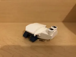 31088 turtle