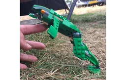 31058 - Frog