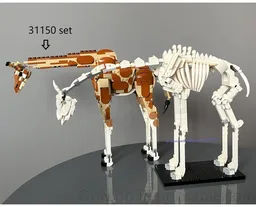 Giraffe skeleton