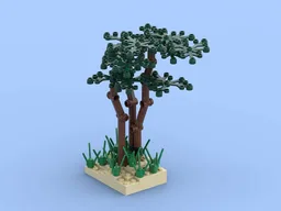 Beach Pine Trees