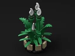 Mini Spatiphyllum (Peace Lily)