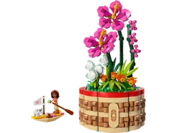 Moana's Flowerpot