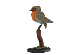 Robin