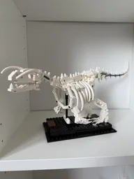 MOC-253117