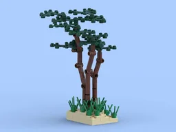 Beach Pine Trees