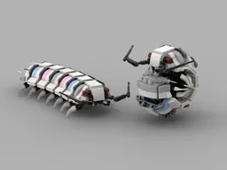 Isopod