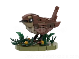 Wren
