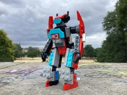 service robot