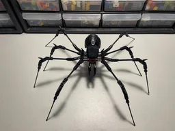 Creepy Spider
