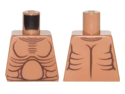 Torso Bare Chest with Muscles Outline and Round Stomach Pattern / Medium Nougat