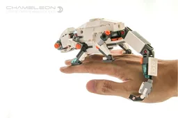 Chameleon