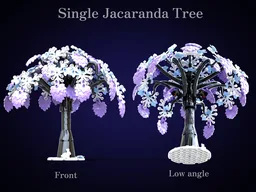 single Jacaranda tree