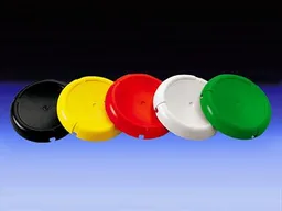 Supplementary Disks