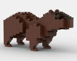Capybara