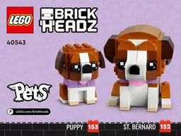St. Bernard