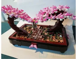 Bonsai Park