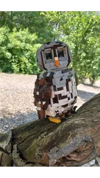 Barred Owl