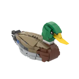 Mallard