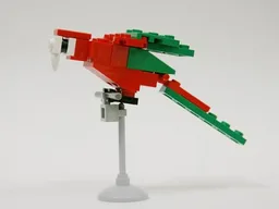 Macaw