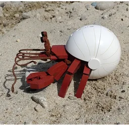 Hermit Crab