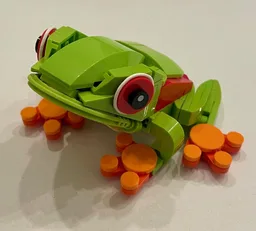 Tree Frog