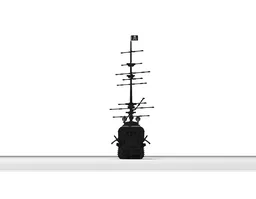 The Black Peral