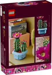 Flowering Cactus