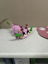 Axolotl