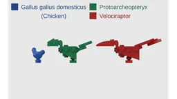 Protoarcheopteryx