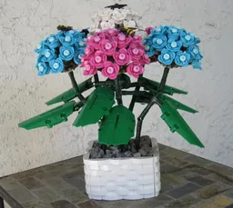 Hydrangea (BT009)