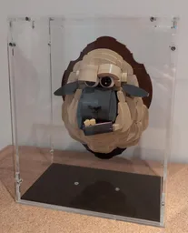 Sheep,