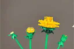 Dandelion