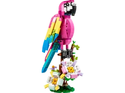 Exotic Pink Parrot