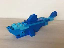 a serious shark
