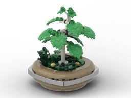 Bonsai - Silver Birch