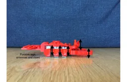 31145 Red Lobster
