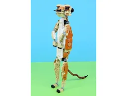 Meerkat