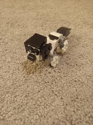 Portuguese water dog